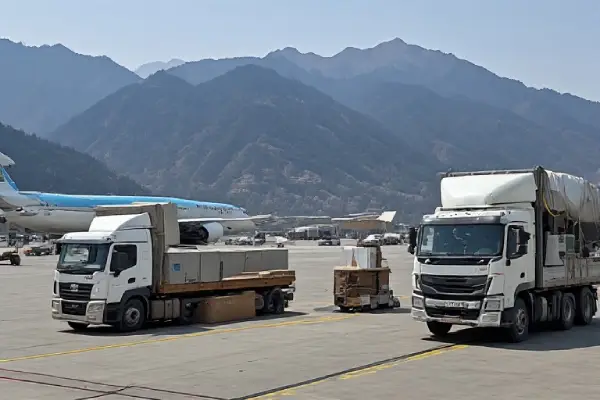 Domestic Air Cargo Service